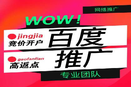 某某sem推广公司案例揭秘：如何精准定位目标用户群体